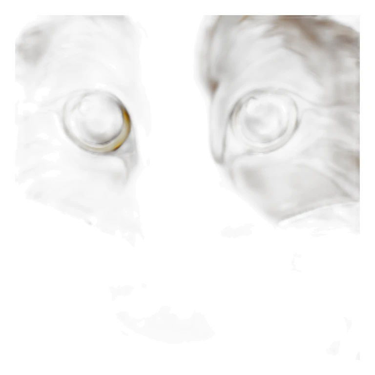 Chat angora tigré marron avec taches beiges sticker