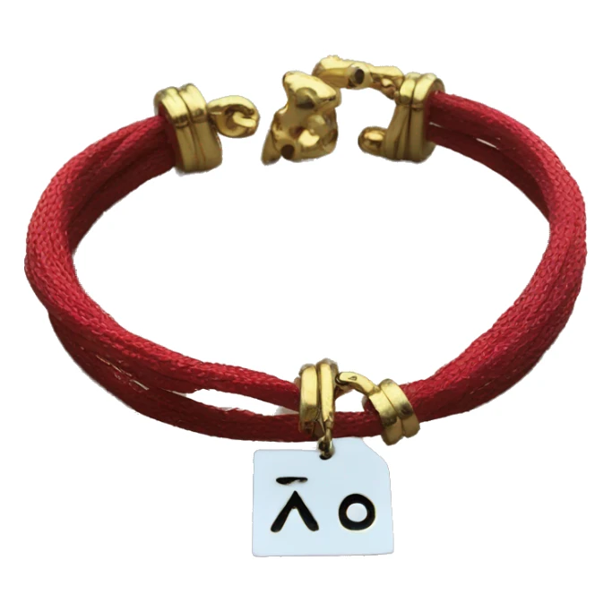 Zodiac Bracelet with letter rope sticker
