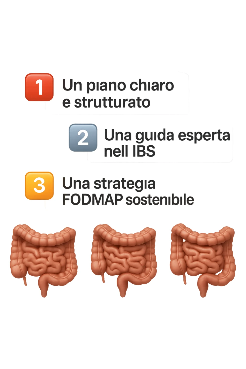 emoji stile iphone di 3 targhette numerate con intestino realistico davanti ad ogni targhetta, le targhette sono:
"1 – Un piano chiaro e strutturato
2 – Una guida esperta nell’IBS
3 – Una strategia FODMAP sostenibile"
, iperrealistico 4k sticker
