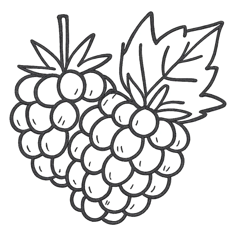 sweet blackberries, hand drawn sketch, detailed sticker
