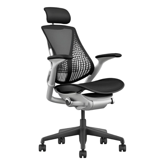 Sayl Herman Miller ergonomic chair  sticker