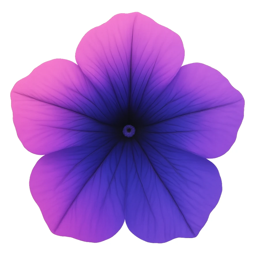 Pink-Violet-Indigo-Purple-Gradient Petuniaemoji    , remove background sticker