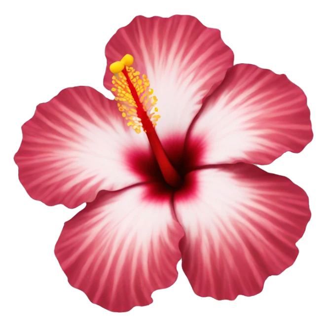 hibiscus  sticker