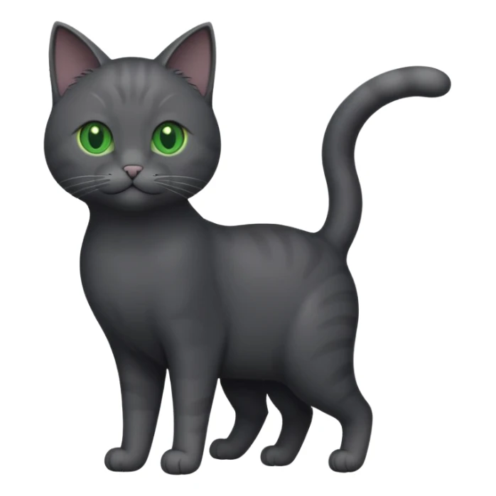 full body gorgeous solid dark grey cat with green eyes, white paws and white whiskers playing sticker