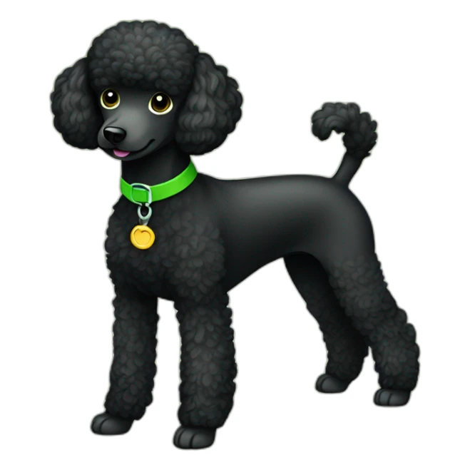A single Energetic dark black mini poodle with short hair and green collar sticker
