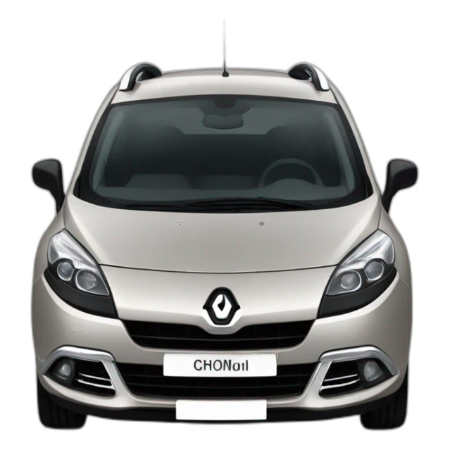 renault scenic Gris cassiopee car sticker