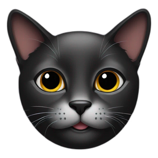 A profile photo of a black cat sticker