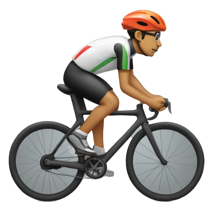 Andry Rajoelina en velo sticker