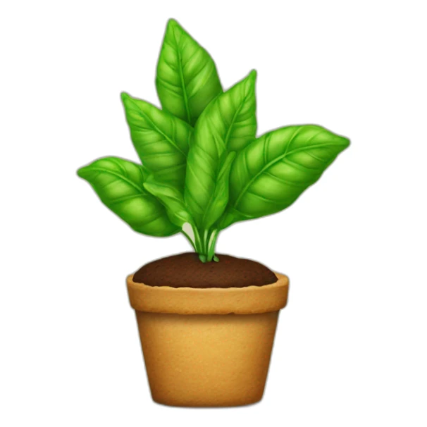 una pianta di basilico su una torta sticker