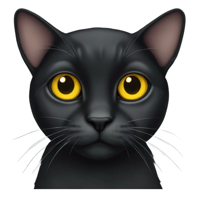 Black lop-eared cat with yellow eyes sticker