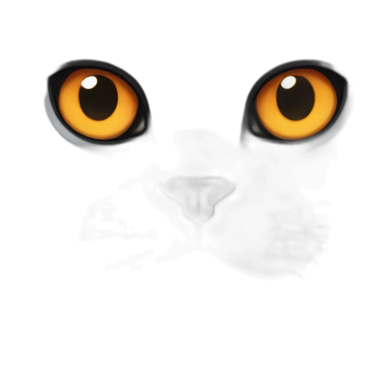 black British shorthair with orange eyes sticker