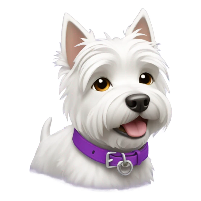 Westie with purple collar  sticker