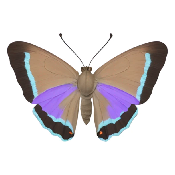 violet colorado hairstreak butterfly sticker