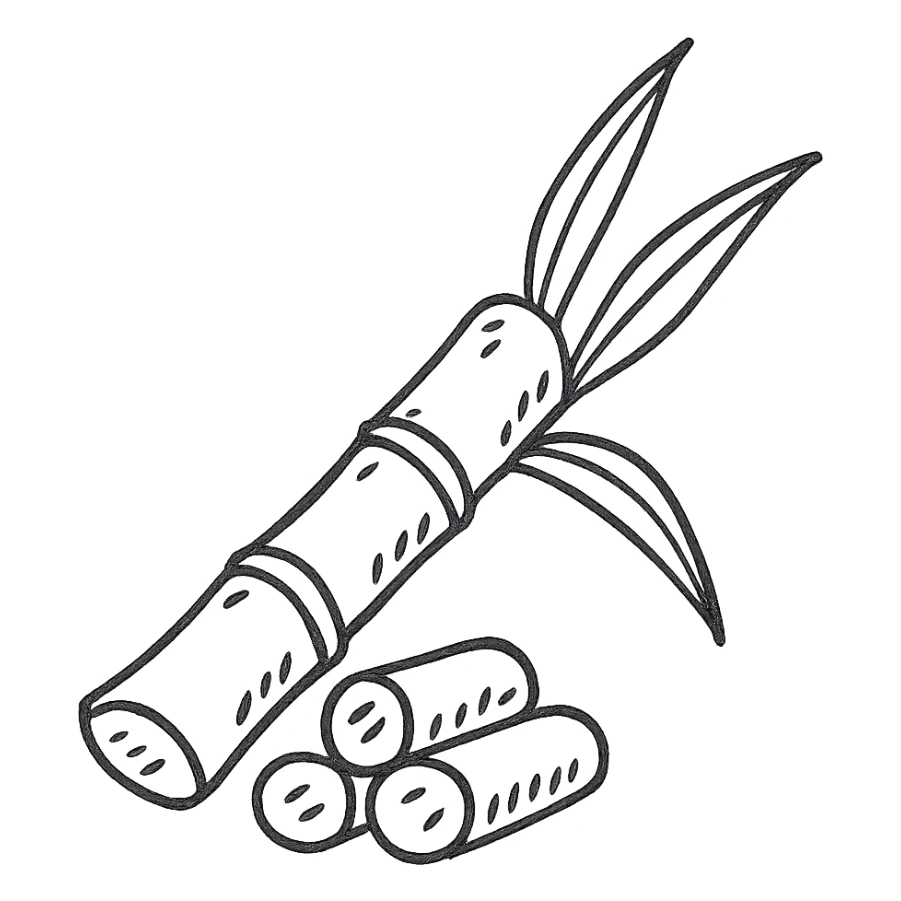 a piece of sugarcane, hand drawn, simple lines, no background sticker