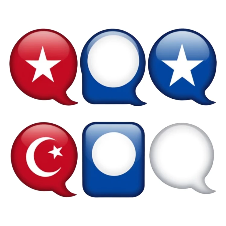 doğru türkistan bayrağı sticker