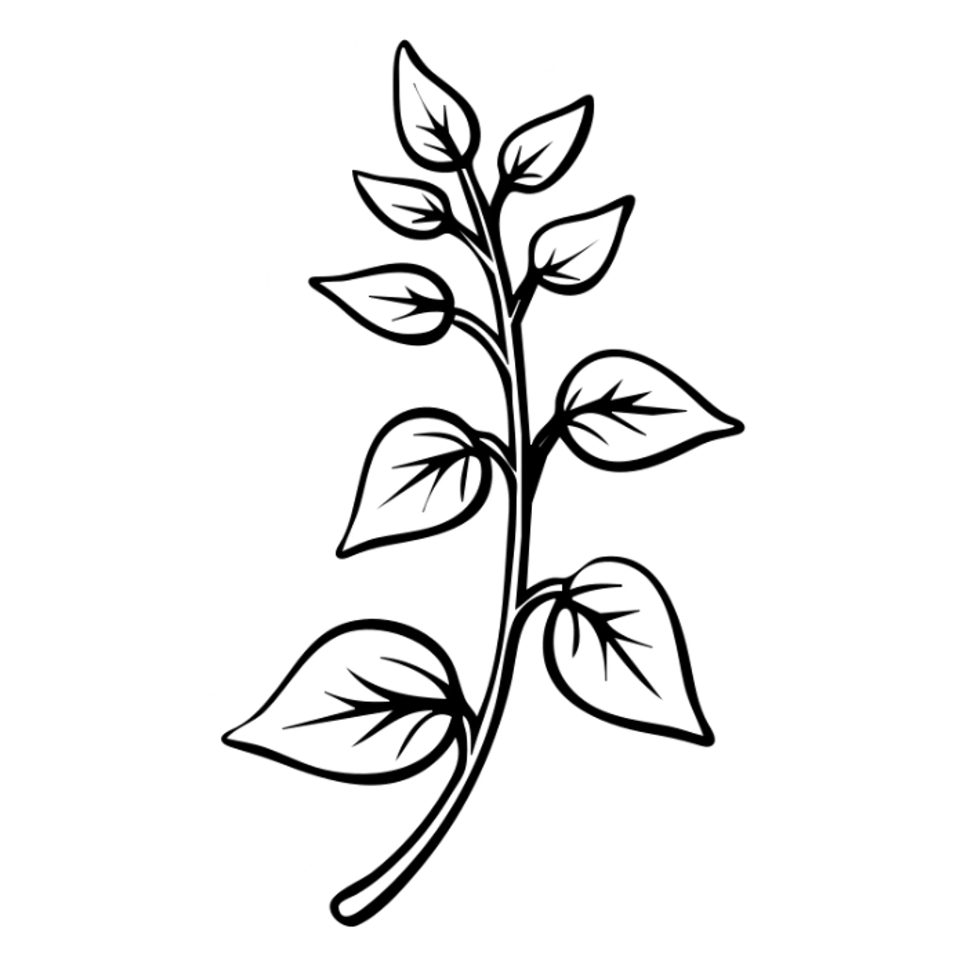 Fresh basil herb with detailed leaves on stems, botanical illustration sticker