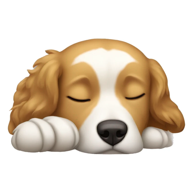 Light brown Tibetan mix dog sleeping  sticker