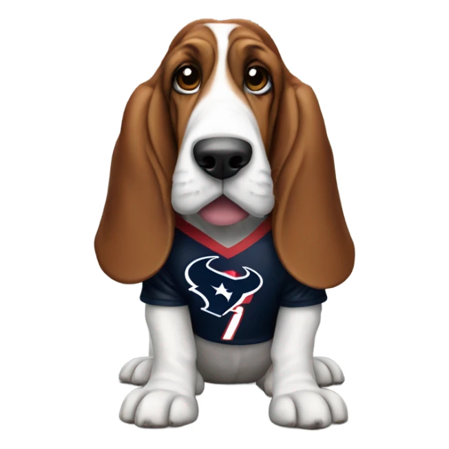 Basset-Hound wearing a Houston Texans jersey sticker