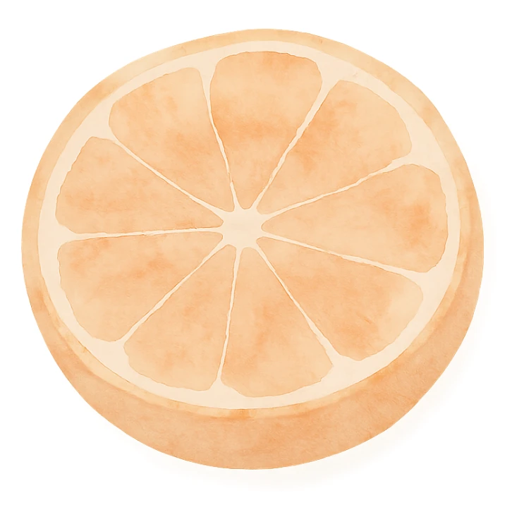 a sliced orange, showing the segments, watercolor art style sticker