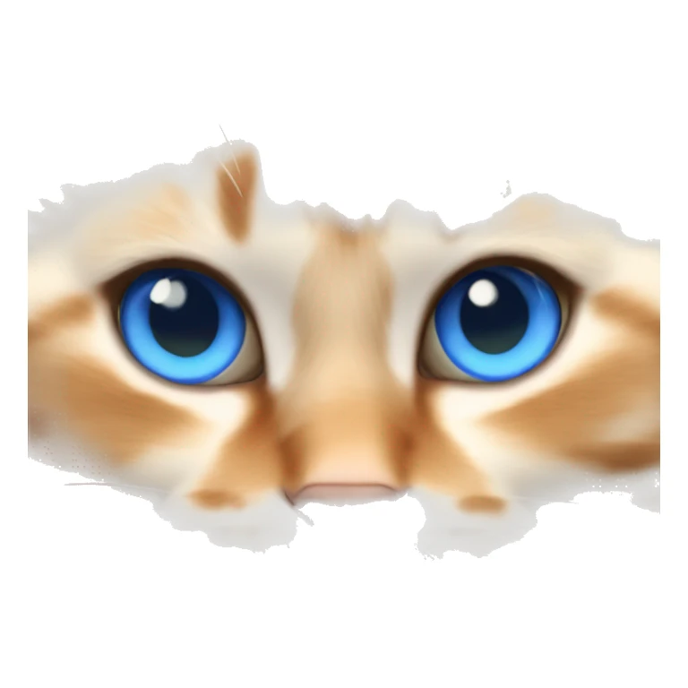 orange bicolor ragdoll cat with blue eyes and orange fluffy tail laying down sticker