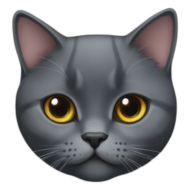 A black British shorthair cat sticker
