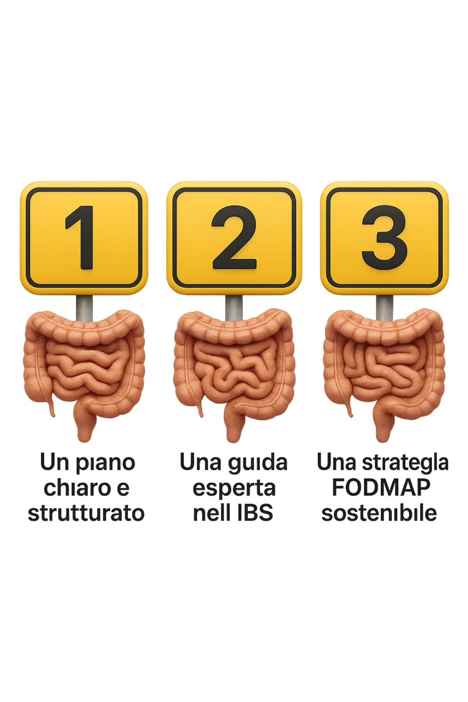 emoji stile iphone di 3 targhette numerate con intestino realistico davanti ad ogni targhetta, le targhette sono:
"1 – Un piano chiaro e strutturato
2 – Una guida esperta nell’IBS
3 – Una strategia FODMAP sostenibile"
, iperrealistico 4k sticker