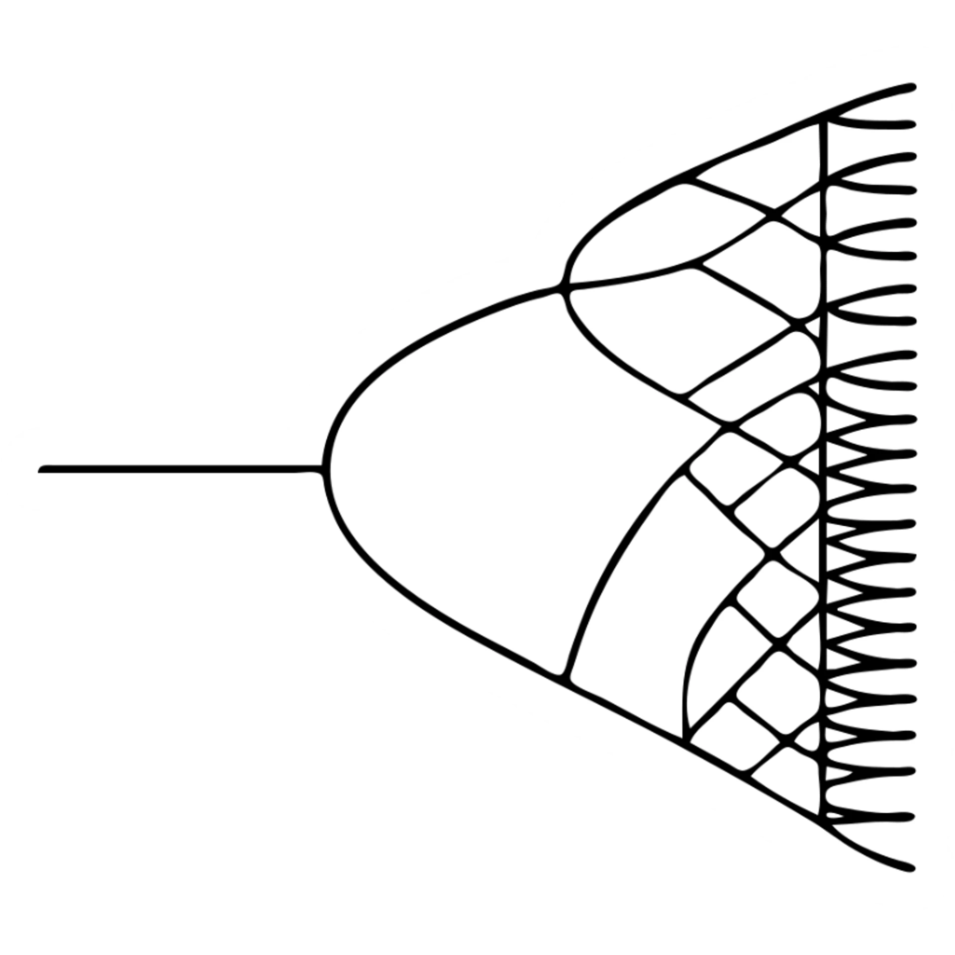 Logistic map bifurcation diagram showing detailed mathematical branching patterns sticker