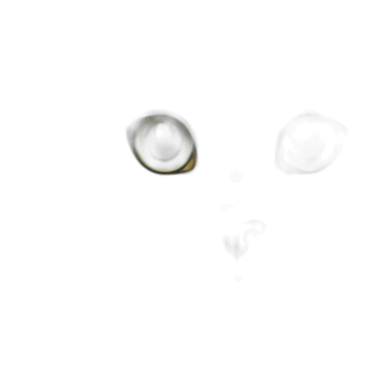 cat Maine Coon color tabby gray, green eyes, white tufts on the ears sticker