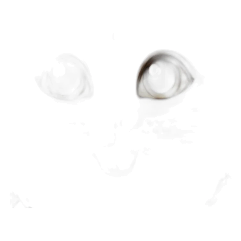 Cute cat smiling and eyes look at righ sticker