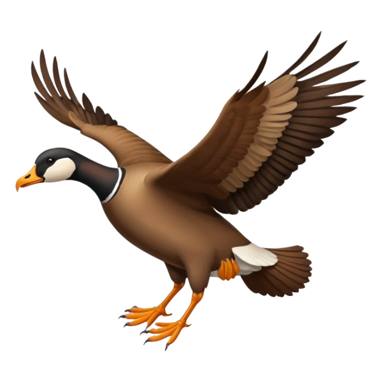 wild goose with black neck and brown wings, in flight sticker