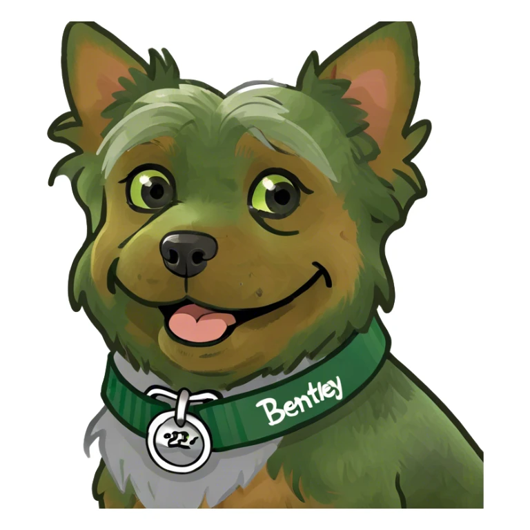 a happy yorkie with a collar with the name bentley sticker