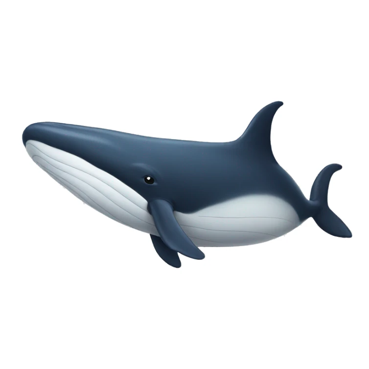 A whale with ALDO written on it sticker