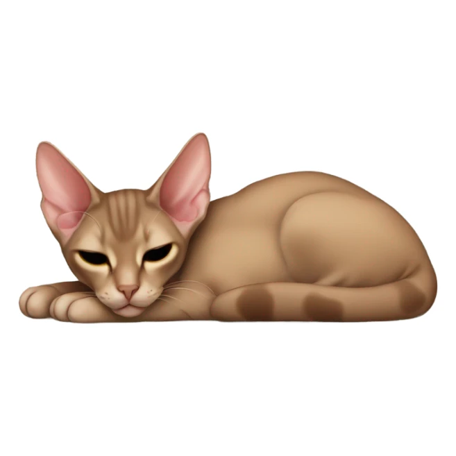 Brown oriental shorthair cat sleeping sticker