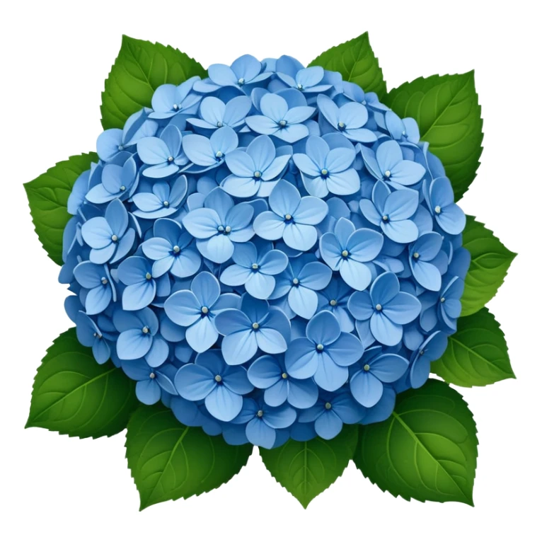 Beautiful blue hydrangea flower cluster with rounded ball shape and lush green leaves sticker