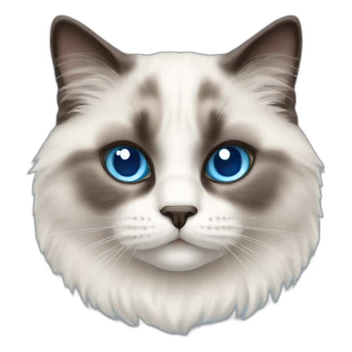 ragdoll cat blue eyes sticker