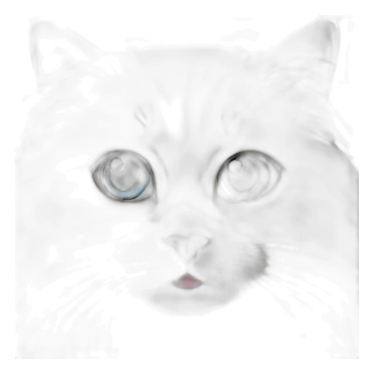 A TOK emoji of a himalayan ragdoll cat sticker