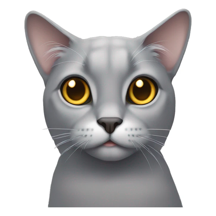 grey lop-eared cat with golden eyes sticker