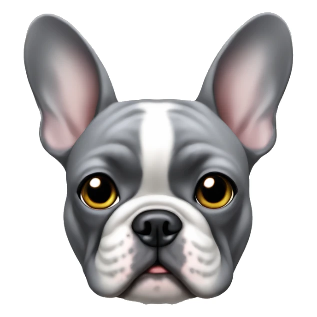 all grey female french bulldog face only sticker