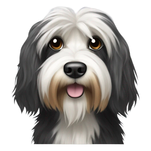 Tibetan terrier black and white dog sticker