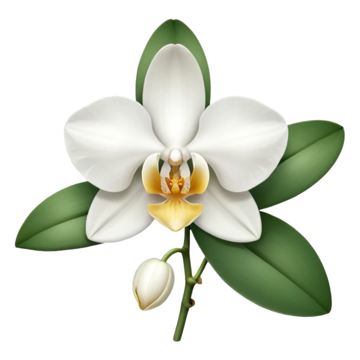 White colour orchid emoji sticker