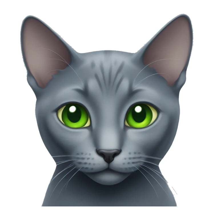 russian blue cat with green eyes  sticker