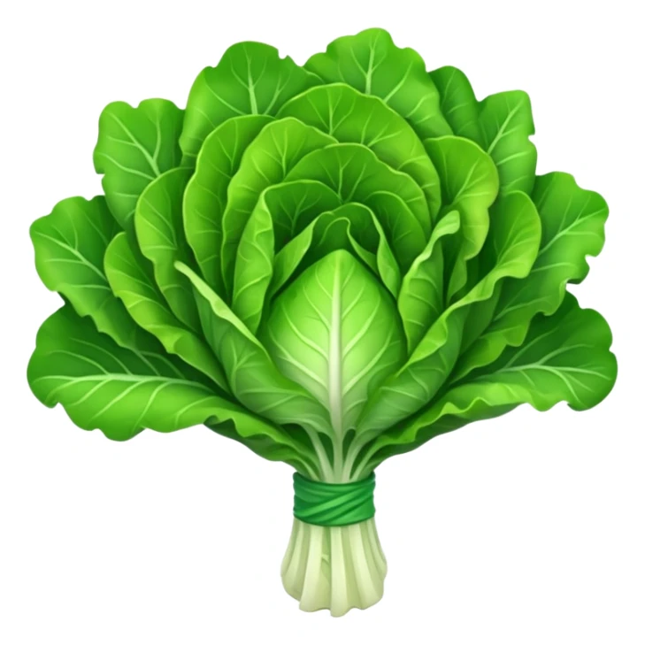 Bouquet of lettuce sticker