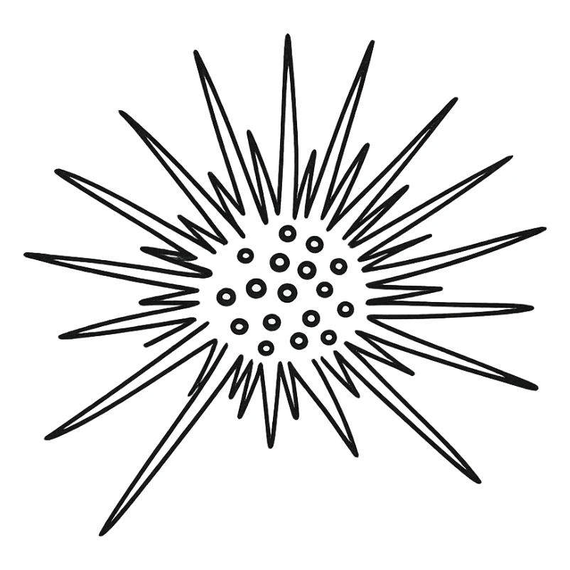 Sea urchin illustration in a clean, hand-drawn style with red lines, minimal design, no text, transparent background, matching the style of the reference logo. sticker