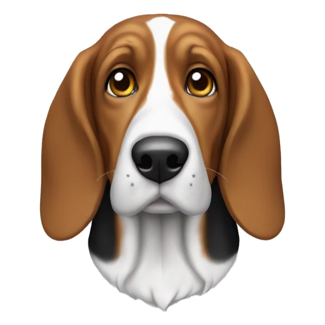 Basset beagle  sticker