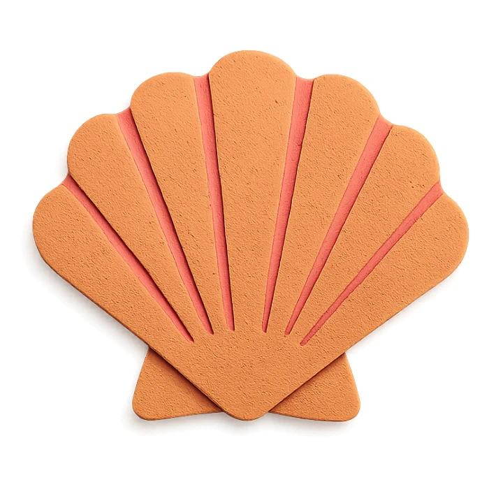 scallop shell, textured paper details, gentle shadows sticker