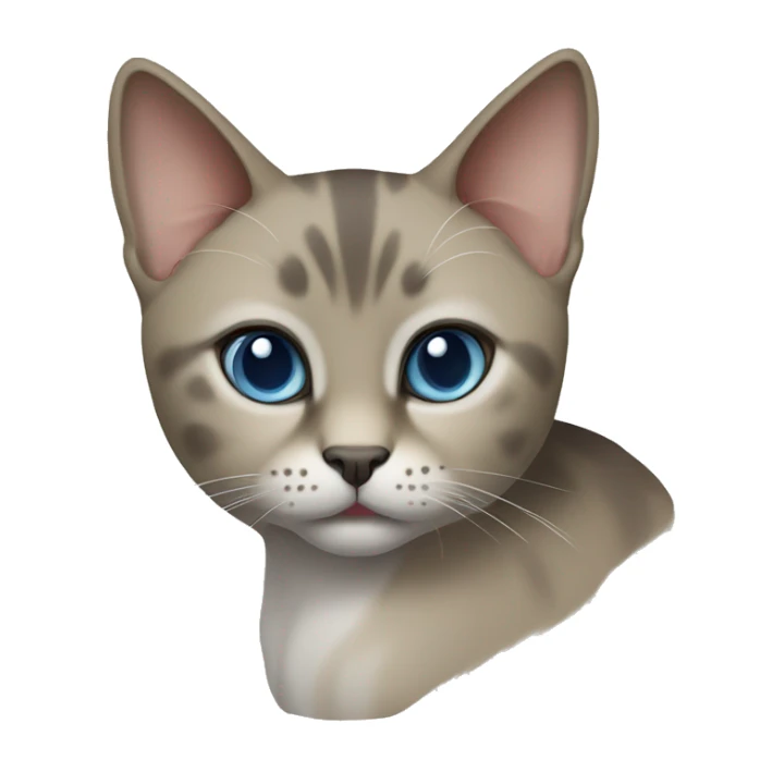 Thai breed cat with a light cream-brown body, dark gray face, ears, and paws. Short fur, sharp ears, and striking light blue eyes with an intense gaze. sticker
