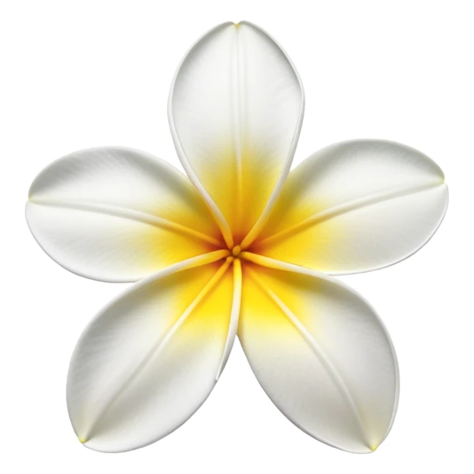plumeria flower with five white petals and yellow center sticker