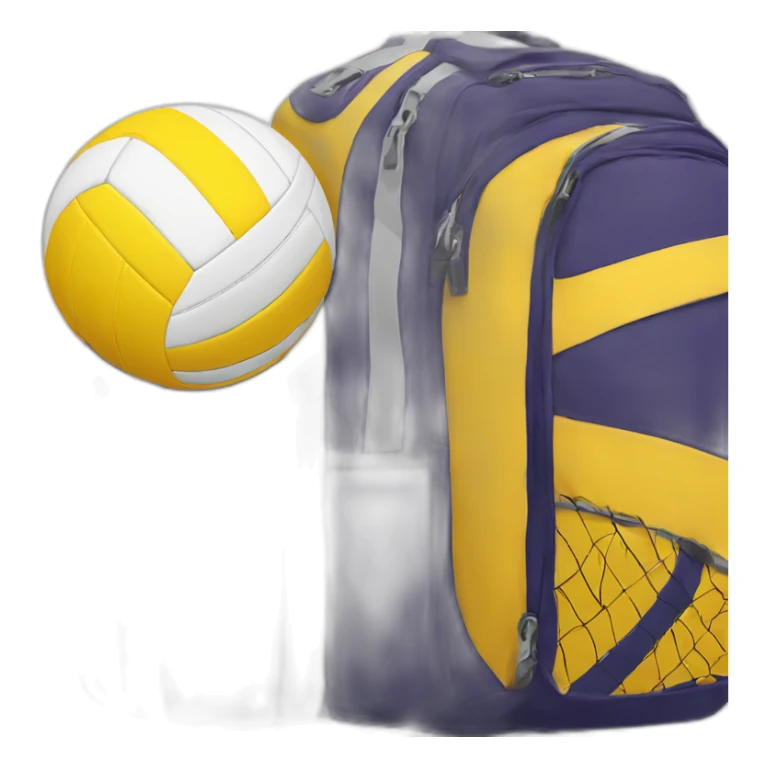 a volleyball bag called the volleyvoyager, include an airplane sticker