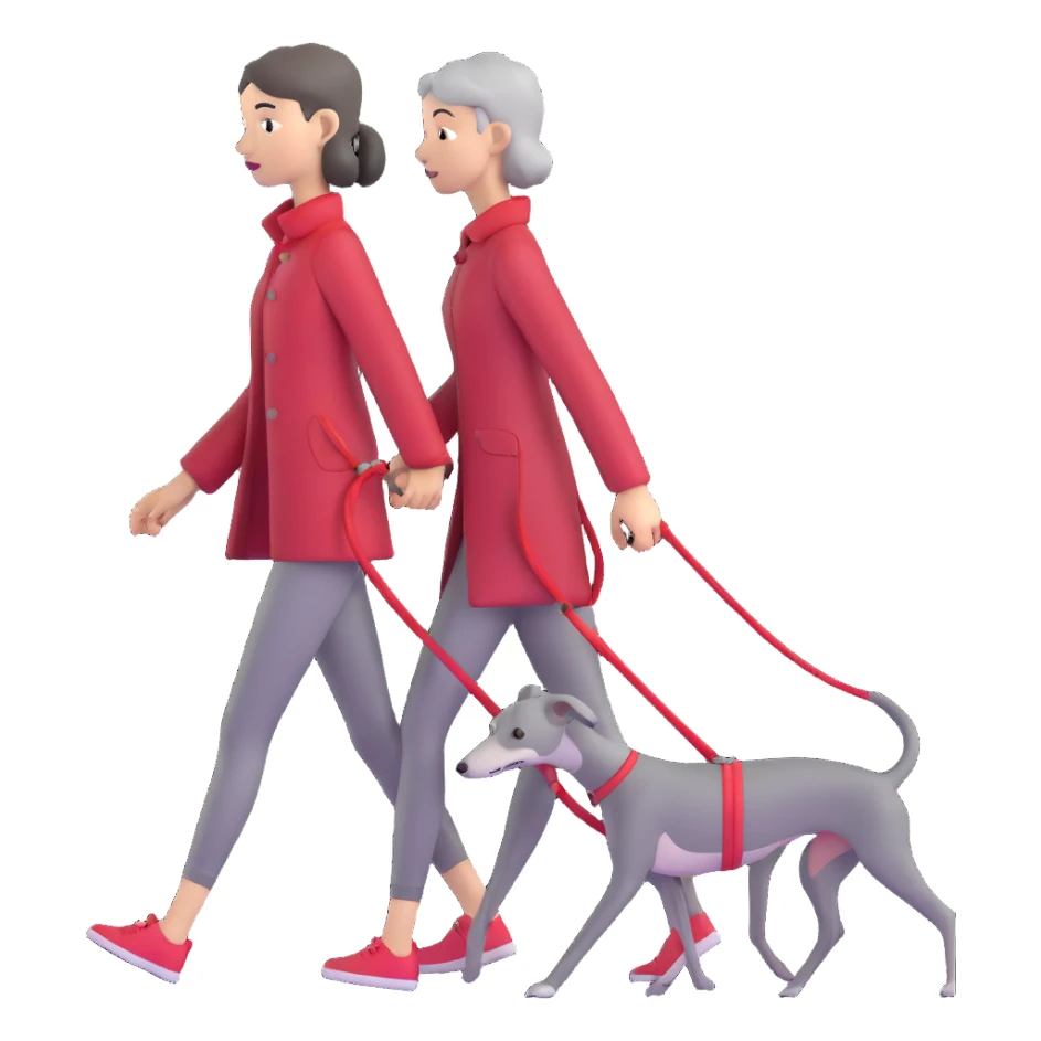Beautiful Asian girl walking a completely solid grey Italian greyhound with a grey nose on a simple red leash, no white markings anywhere, pure grey dog sticker