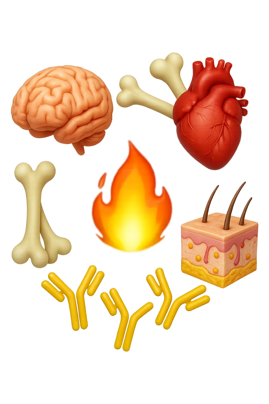 EMOJI STILE IPHONE 3D DI cervello, ossa, cuore, porzione di epidermide e cellule di anticorpi che girano in tondo, al centro di questi elementi c'è una fiamma 3d  FALLO MOLTO REALISTICO IN 3D sticker